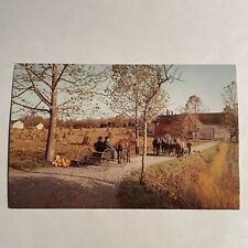 Postcard Horse-'N-Buggy Country, 