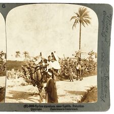 Syrian Travelers Lydda Palestine Stereoview c1900 Israel Camel Riding Women O14 picture