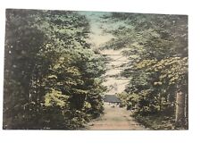 vintage 1910 forest park Camden N Y divided back post card picture
