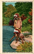 Chief Lone Eagle, Scout, Cherokee Indian Reservation, Smoky Mountain Nat'l Park picture