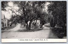 Averill Park New York~Johnny Cake Lane~c1910 B&W Postcard picture