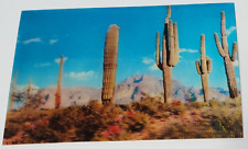 Cactus at Superstition Mountain Arizona Vintage 1970s 3-D Postcard picture
