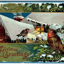 c1910s Christmas Greetings Cute Birds Winter House Night Lights Outdoors PC A224 picture