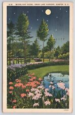 Sumter South Carolina Swan Lake Gardens Moonlight Scene 1945 Linen Postcard picture