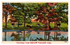 Greetings from SQUAW VALLEY California Cattle at Pond Linen Postcard c1930-1945 picture
