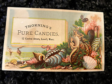 Victorian Trade Card Thorning's PURE CANDIES 12 Central Street, Lowell MA picture