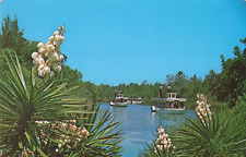 Postcard Weeki Wachee Fl Florida Congo Belle Adventure Cruise Boats Vintage 545 picture