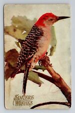 Sincere Wishes, Small Bird, Vintage Postcard picture