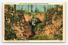 Vintage Old Postcard Yellowstone National Park Natural Bridge Haynes 1930-1940's picture