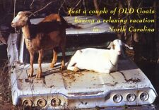 Just a Couple of Old Goats on Vacation in North Carolina Postcard picture