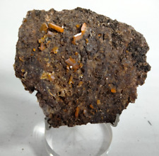 Wulfenite Red Cloud Mine, Mexico WLFRC58 picture