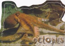 Shape Postcard-Octopus picture