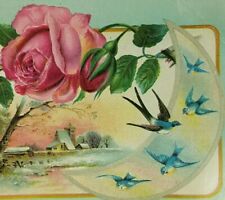 1895 Beautiful Pink Roses Bluebirds Quarter Moon Farm Embossed Victorian Card  picture