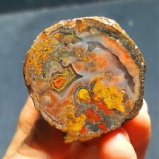 70G Natural rough Warring States Red cornucopia Agate Crystal   52X23 picture