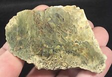 142g Polished Horse Canyon Agate Moss Half Nodule Stunning Display Piece picture