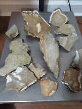 12 Lbs Florida Chert Flint Rock for Knapping/Lapidary Landscaping Ponds  picture
