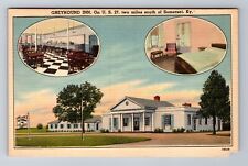 Somerset KY-Kentucky, Greyhound Inn Advertising, Antique, Vintage Postcard picture