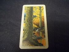 Red Rose Blue Ribbon Tea Brooke Bond Series 11 Trees of North America picture
