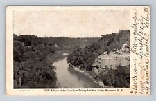 Rochester NY-New York, Scenic View Gorge, Antique Vintage c1906 Postcard picture