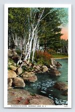 Postcard New York Saranac Lake NY Algonquin Shore 1930s Unposted White Border picture