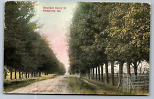Postcard Indiana IN c.1900's Driveway South of Pierceton Y8 picture
