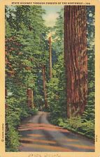 State Hwy Through Forests of the Northwest South Dakota Postcard picture