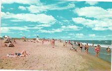 Chincoteague-Assateague Beach East Coast Vintage Postcard Unposted picture