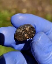 Meteorite**Hassi Khebi, C3-ung**3.778 grams, NEW ULTRA RARE; W/Rare small CAIs picture