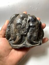 Pleistocene Tooth Carved Two Face very Beautiful / Genuine picture