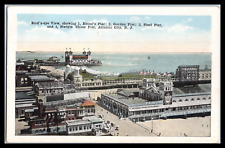 Early 1900's Postcard Heinz Garden Steel Steeple Chase Pier Atlantic City NJ picture