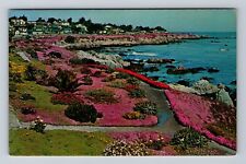 Monterey CA-California, Peninsula, Lover's Point, Ice Plant, Vintage Postcard picture