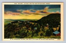 Skyline Drive VA-Virginia, Skyland, Shenandoah National Park, Vintage Postcard picture