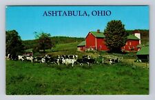 Ashtabula OH-Ohio, Farm Scene, Barn, Cows In The Pasture, Vintage Postcard picture