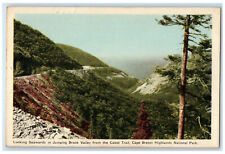 c1950's Brook Valley Cape Breton Highlands National Park NS Canada Postcard picture
