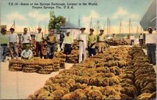 Tarpon Springs FL Florida Sponge Exchange Largest In World Vintage Postcard picture