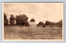 Toronto Ontario-Canada, High Grade Cattle In Pasture, Antique, Vintage Postcard picture