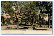 c1905 The Post Road York Village Maine ME Unposted Antique Postcard picture
