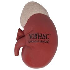 Vtg. Norvasc Drug Rep Foam Kidney Organ Adrenal Gland Squeeze Stress Ball Promo picture