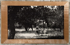 Nickeus Park Jamestown North Dakota Brown Picture Frame Vintage DB Postcard 3975 picture