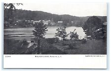 Silver Lake Roslyn NY Long Island Nassau County UDB Postcard F4 picture