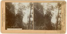 CANADA SV - Ontario - Temagami - High Rock View - Canadian Stereo View Co picture