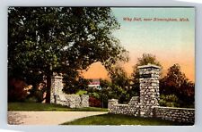 Birmingham MI-Michigan, Why Sall, Antique, Souvenir, Vintage Postcard picture