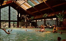Minneapolis Minnesota Curtis Hotel tropical pool 1970s unused vintage postcard picture