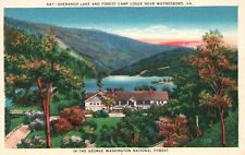 Postcard VA near Waynesboro Sherando Lake Forest Camp Lodge Vintage PC b4157 picture