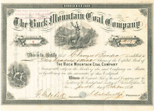 Buck Mountain Coal Co. - Stock Certificate - Mining Stocks picture