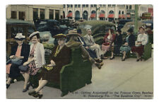1953 Postcard Green Benches St. Petersburg Florida FL picture