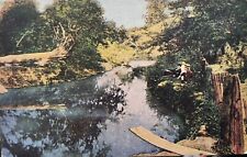 Greenfield Indiana The Old Swimming Hole Vintage Postcard Antique Creek Photo IN picture
