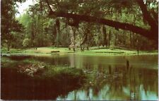 Postcard SC Sumter County - Dundell Gardens picture