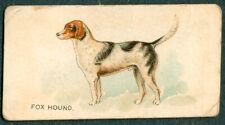 Fox Hound Dog Card Goodwin Tobacco Card 1890 N163 Old Judge Cigarettes USA picture