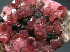 Gem Rhodochrosite Crystals on Matrix from Peru - 1.7